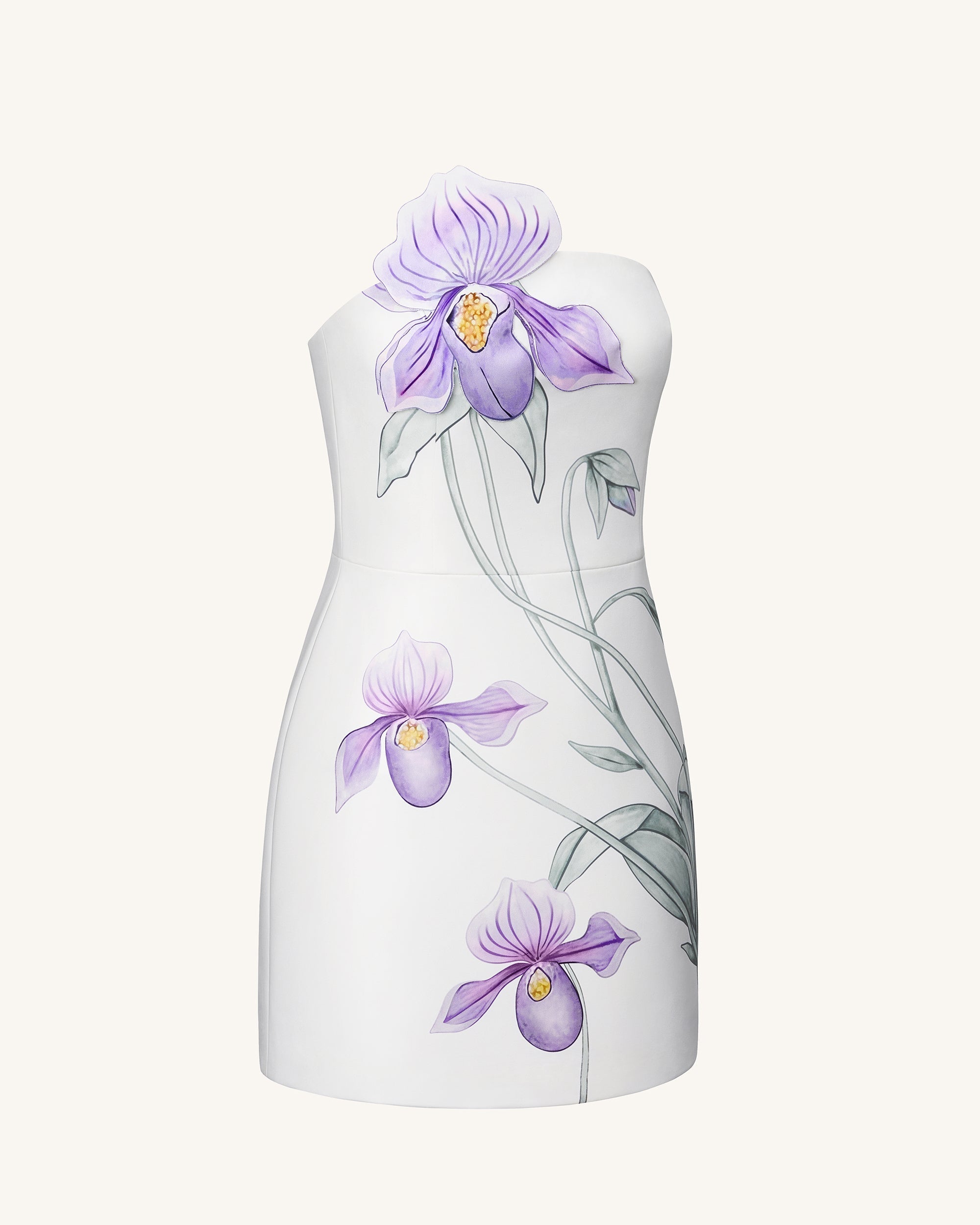 Slipper Orchid Appliqu¨¦ Mini Dress - White