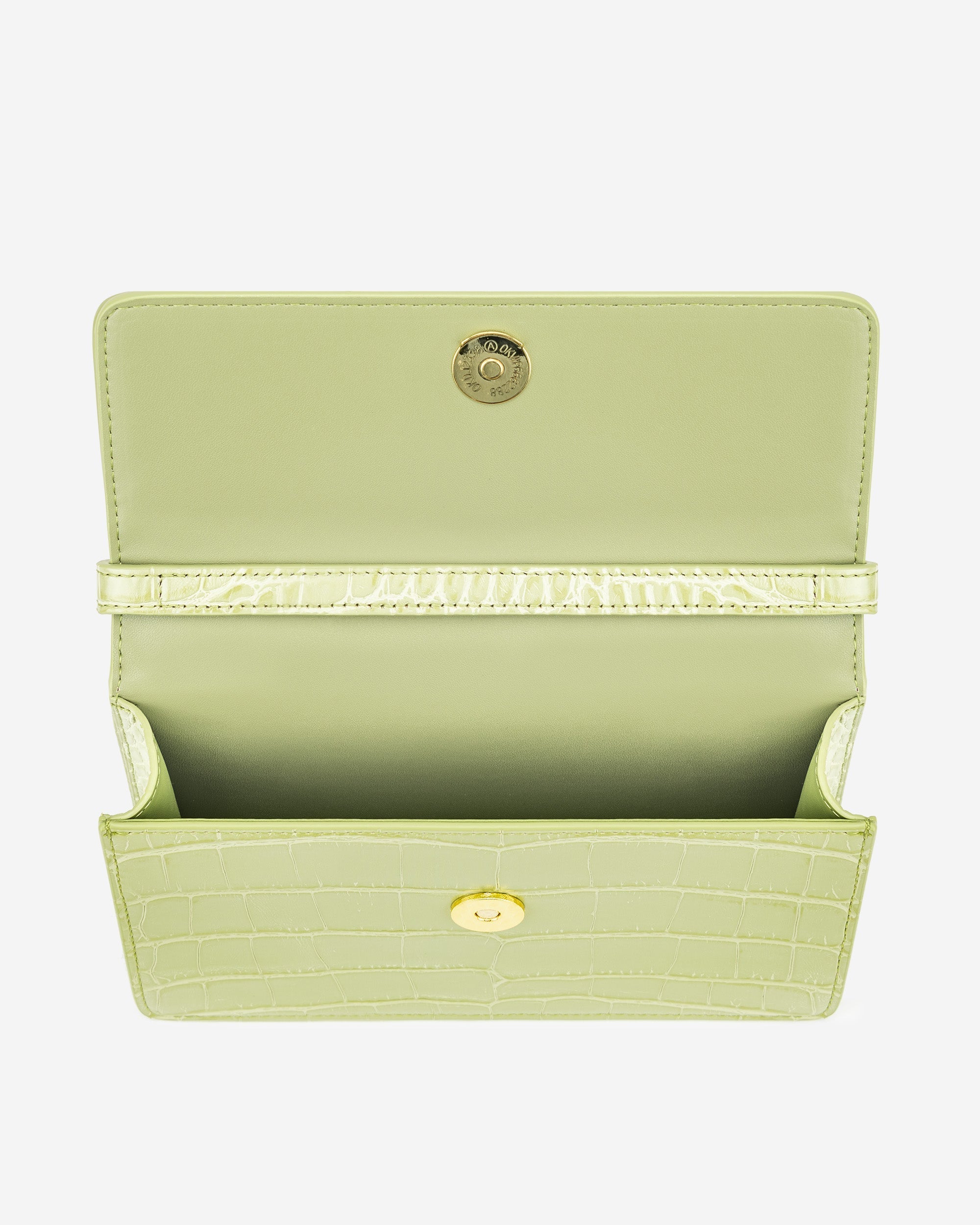 Julia Acrylic Chain Crossbody Bag - Sage Green Croc